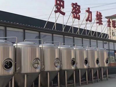 丰城精酿啤酒设备厂—如何判断精酿啤酒设备的密封件需要更换？